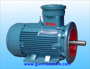 Explosion-Proof Electromotor